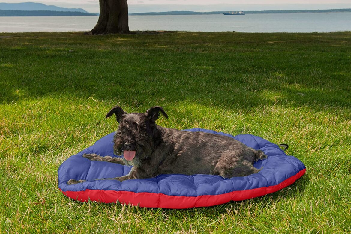 portable-dog-bed.jpg