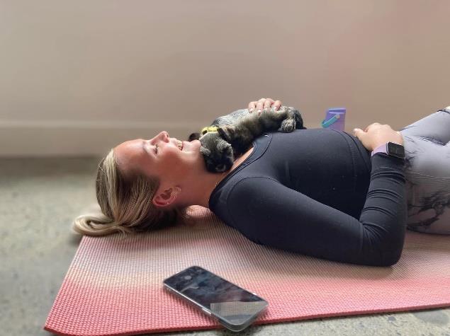 Women doing Yoga with a Mini Schnauzer Puppy sleeping on her