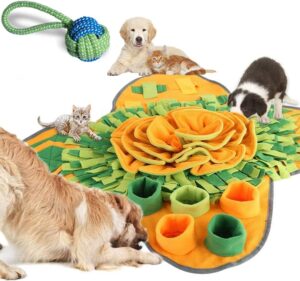 Schnauzer puppy supplies