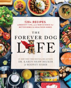 forever dog life book