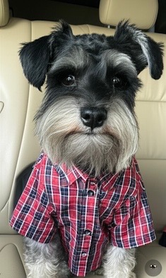 Dad photo -  Bucky
