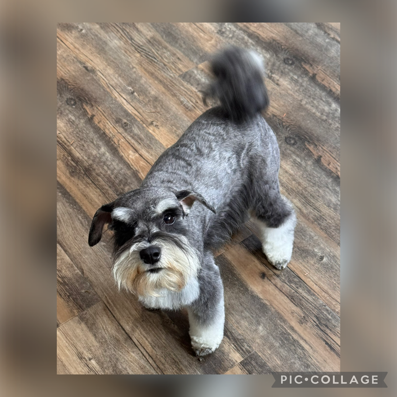 Mom photo - Diva 